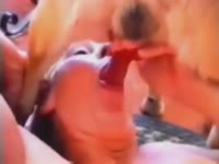 Smart dog does every sex order of his dirty mistress